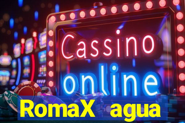 RomaX agua sanitaria fispq agua sanitaria romax