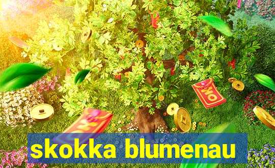 skokka blumenau