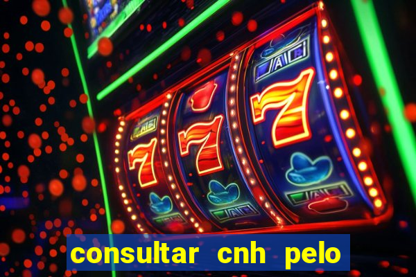 consultar cnh pelo cpf sp