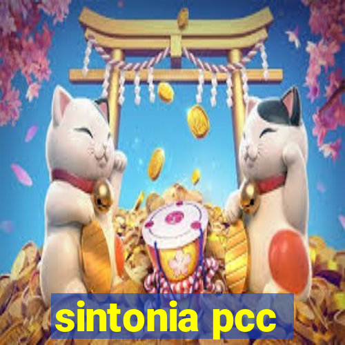 sintonia pcc