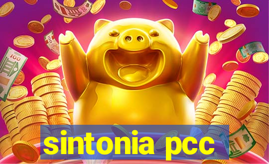 sintonia pcc