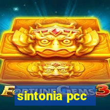 sintonia pcc