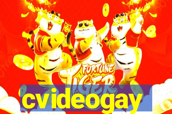 cvideogay