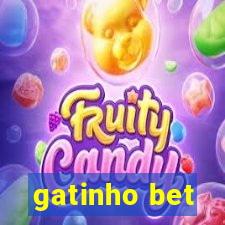 gatinho bet