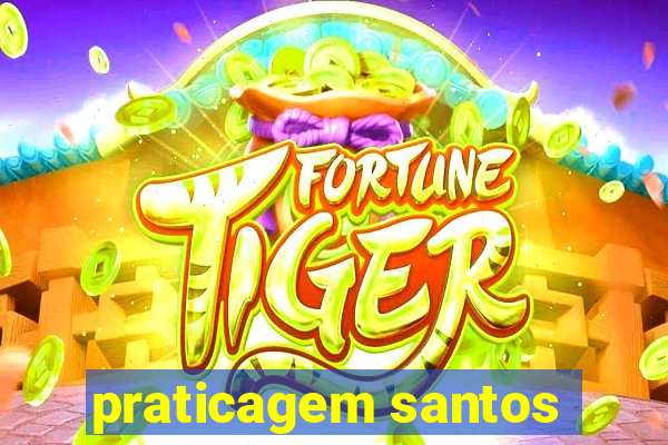 praticagem santos