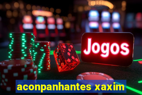 aconpanhantes xaxim