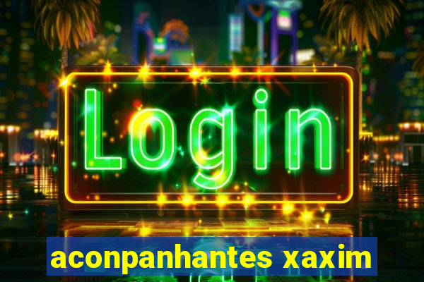 aconpanhantes xaxim