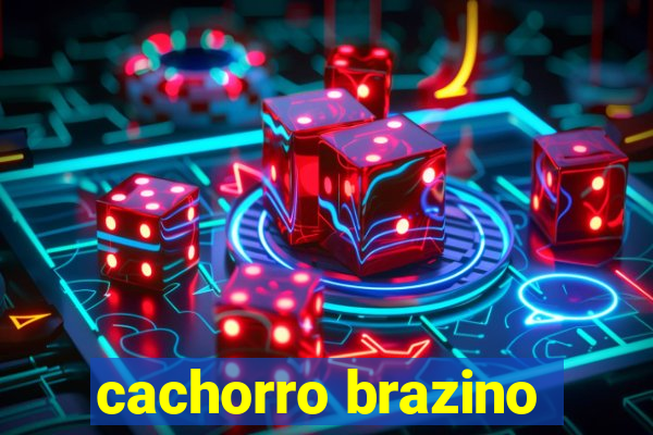 cachorro brazino