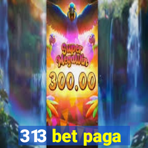 313 bet paga