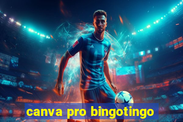 canva pro bingotingo