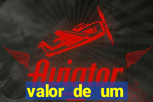 valor de um container usado