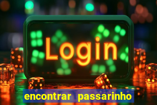 encontrar passarinho morto significado