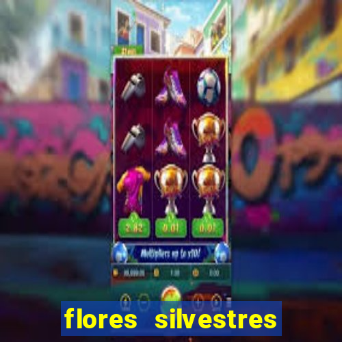 flores silvestres desbravadores desbravadores 25