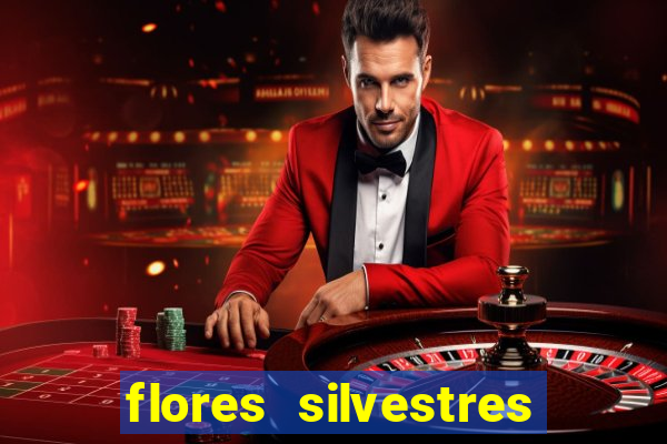 flores silvestres desbravadores desbravadores 25