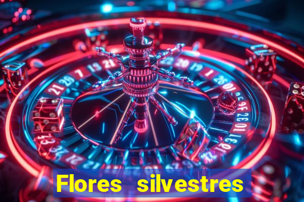 Flores silvestres brasileiras brasileiras flores silvestres nomes e imagens