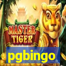 pgbingo