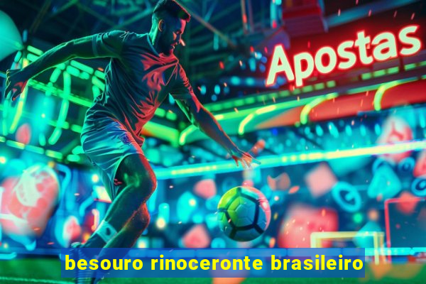 besouro rinoceronte brasileiro