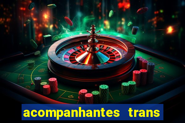 acompanhantes trans baixada fluminense