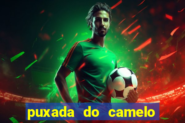 puxada do camelo no jogo do bicho