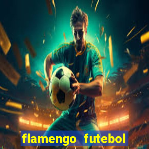 flamengo futebol play hd