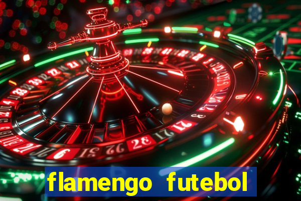 flamengo futebol play hd