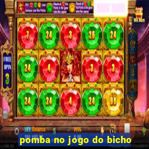 pomba no jogo do bicho