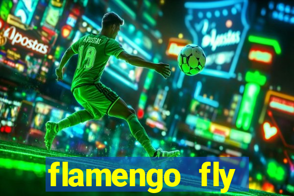 flamengo fly emirates ultimas noticias