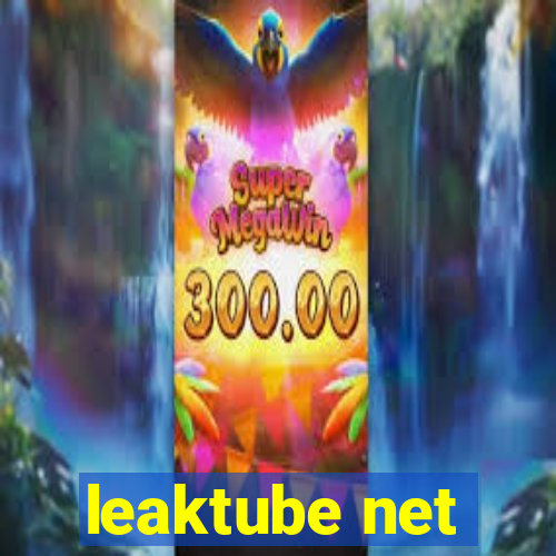 leaktube net