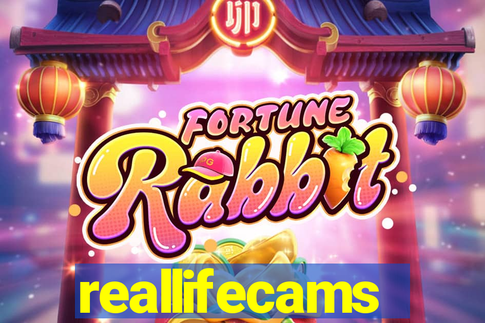 reallifecams