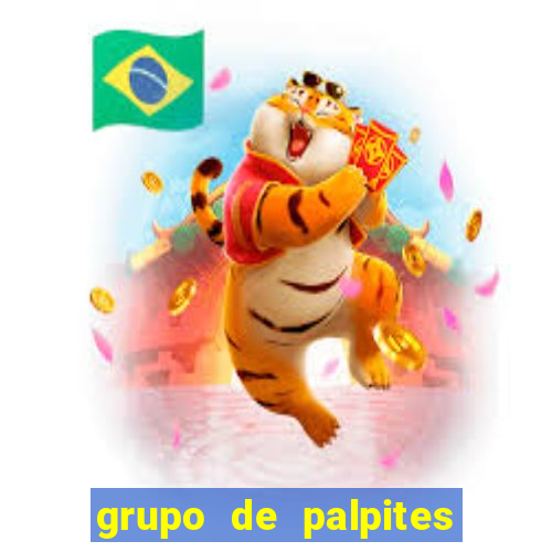 grupo de palpites de futebol telegram