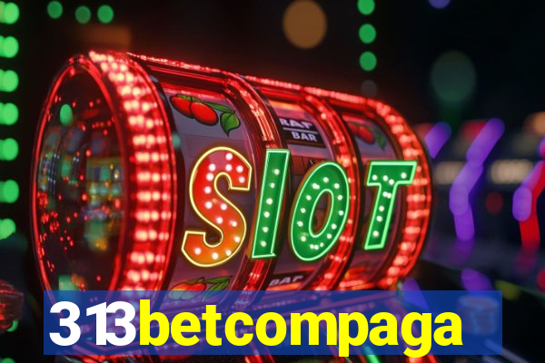 313betcompaga