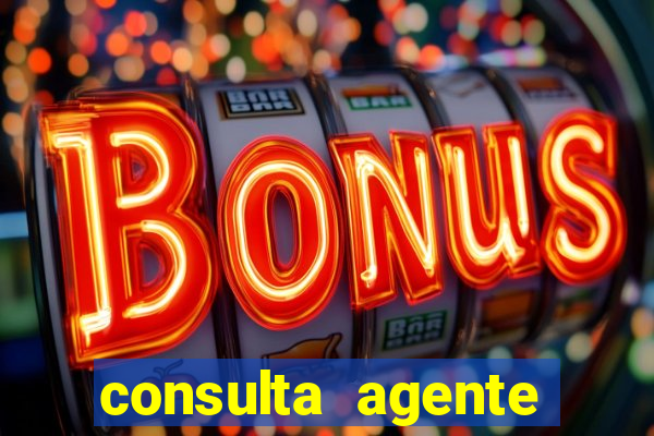 consulta agente autuador sp