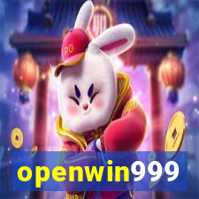 openwin999