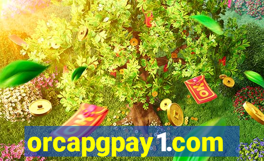 orcapgpay1.com