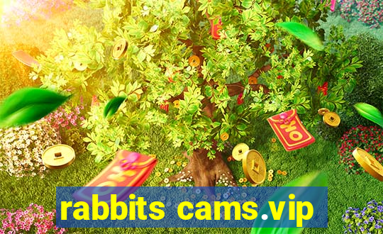 rabbits cams.vip