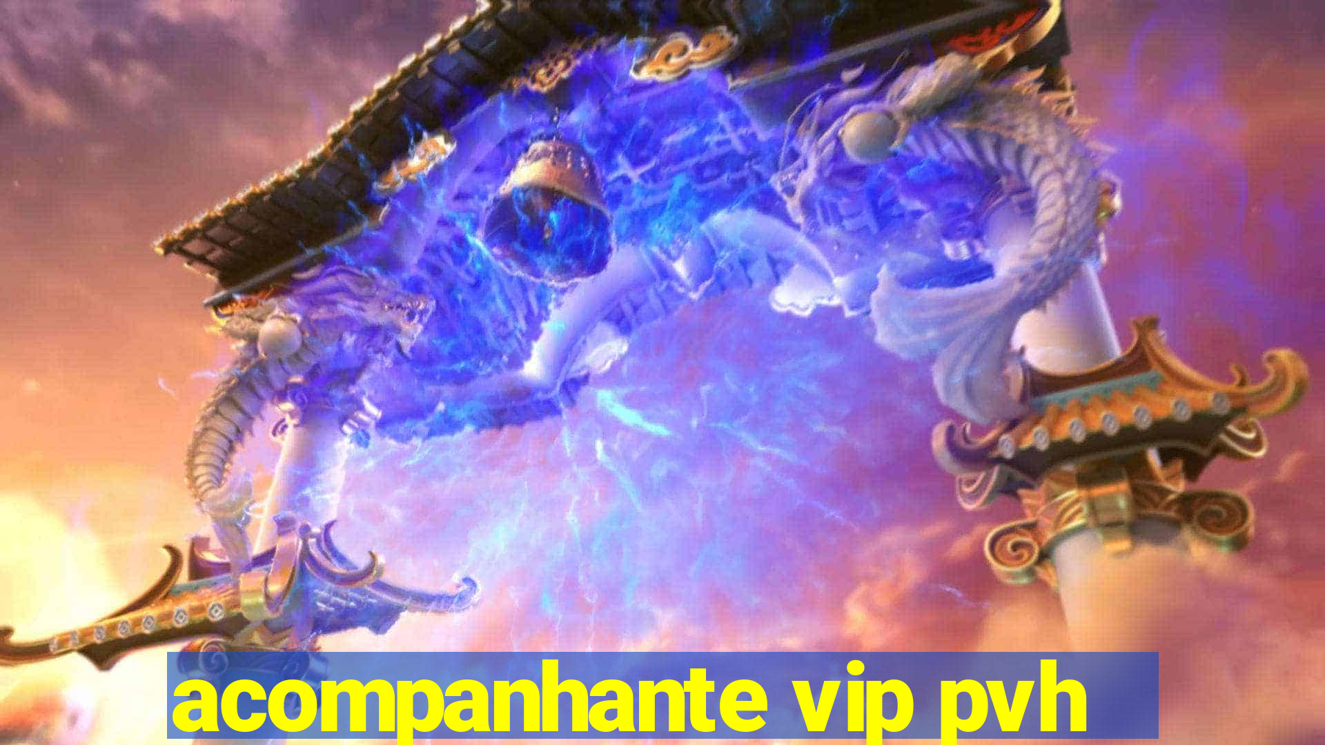 acompanhante vip pvh