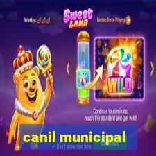 canil municipal