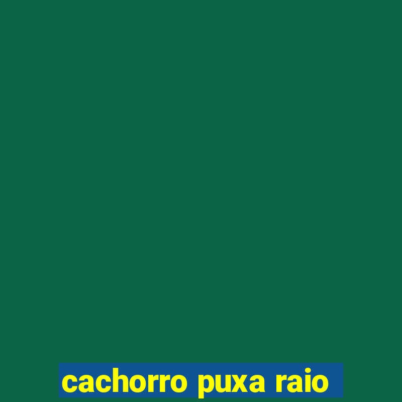 cachorro puxa raio