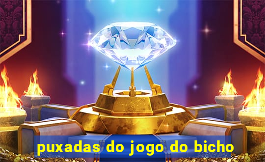 puxadas do jogo do bicho