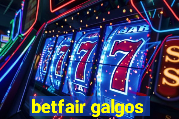 betfair galgos