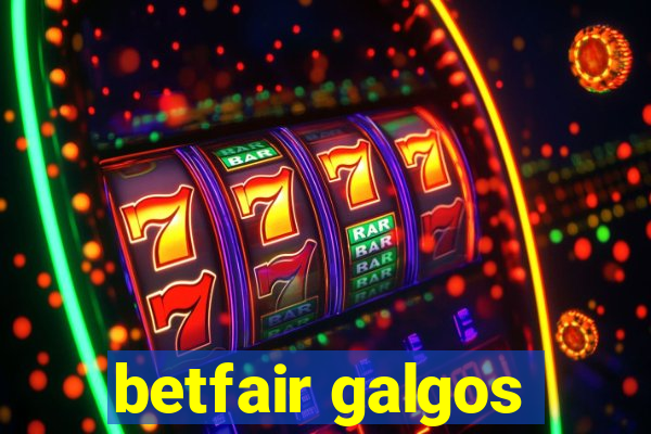 betfair galgos