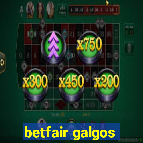 betfair galgos