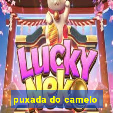 puxada do camelo