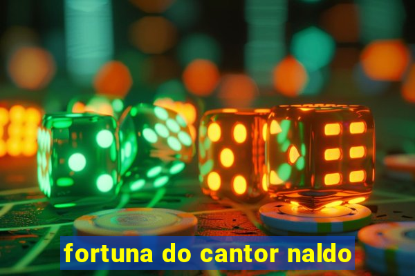 fortuna do cantor naldo