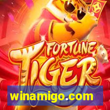 winamigo.com