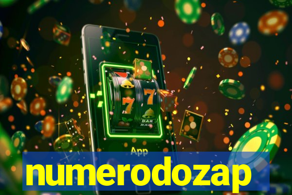 numerodozap