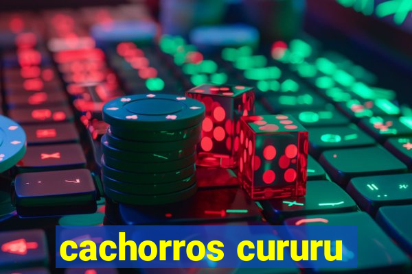 cachorros cururu