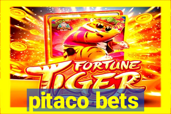 pitaco bets