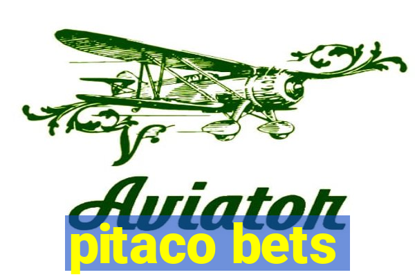 pitaco bets