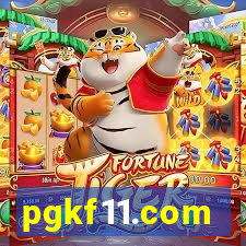 pgkf11.com